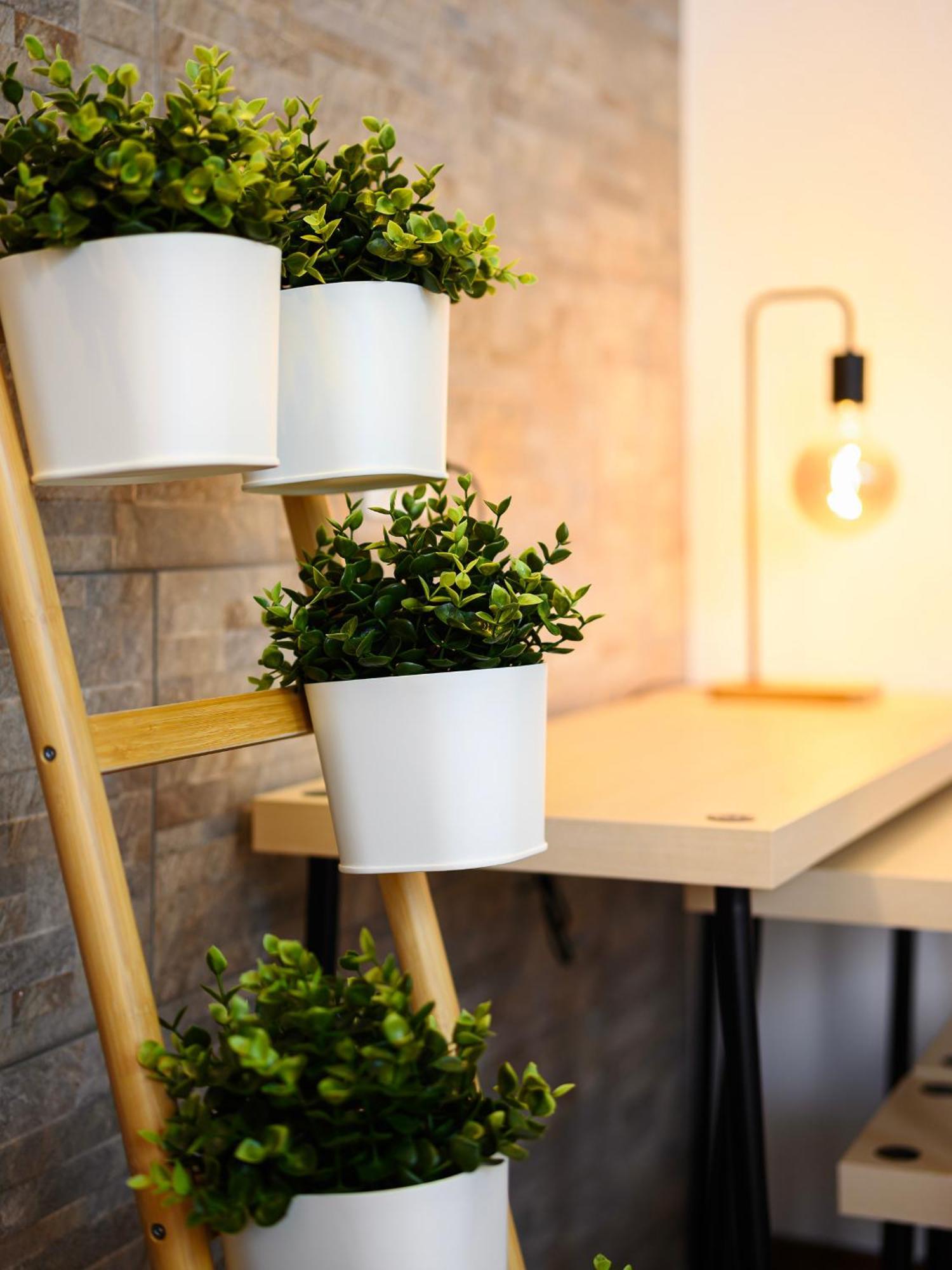 Insubria 8-6 - Monolocale Cool Apartment